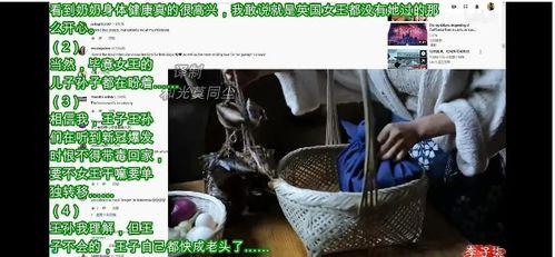 李子柒最新评价外网爆料,田园生活新风尚,网友热议不已